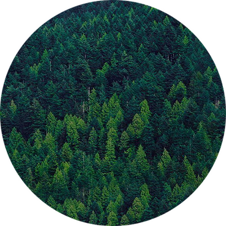 Weboldal fejlesztés